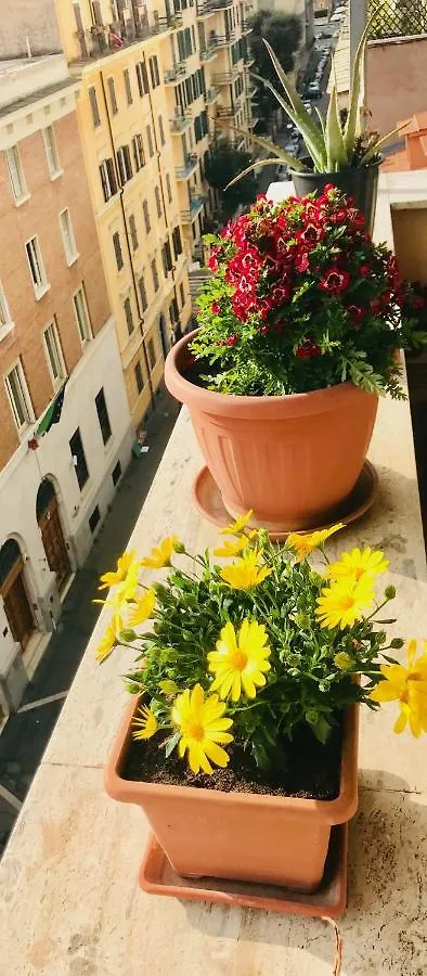 When In Rome Accommodation Guest House