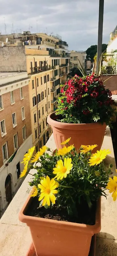 When In Rome Accommodation Guest House