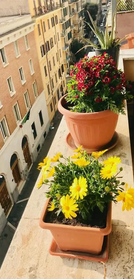When In Rome Accommodation Guest House 3*,