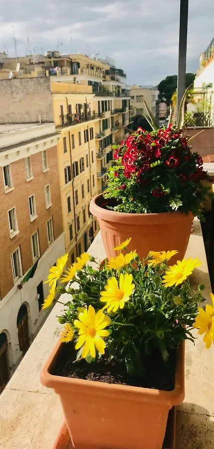 When In Rome Accommodation Guest House